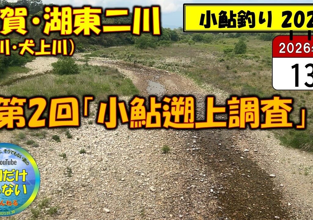 【小鮎釣り2026】第２回「小鮎遡上調査」、滋賀・湖東二川（芹川・犬上川）