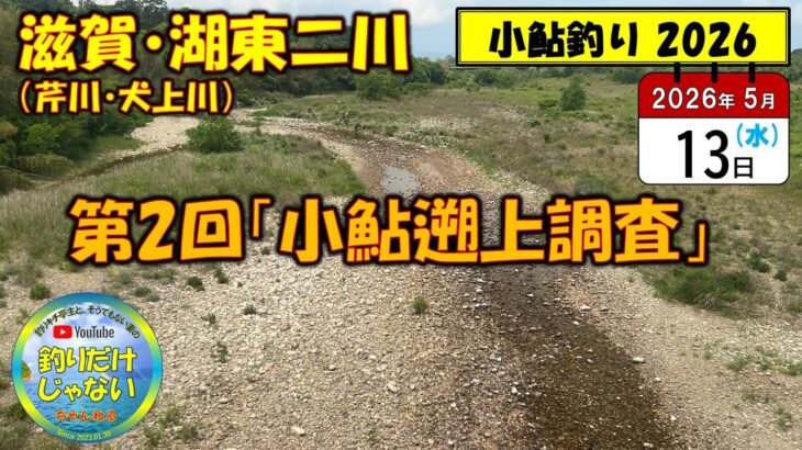 【小鮎釣り2026】第２回「小鮎遡上調査」、滋賀・湖東二川（芹川・犬上川）