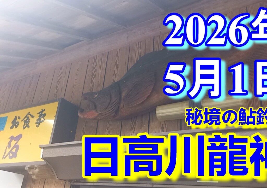 鮎釣り 雨 平水～増水 昭栄橋下 龍の里前 温泉橋上 日高川龍神  2026年