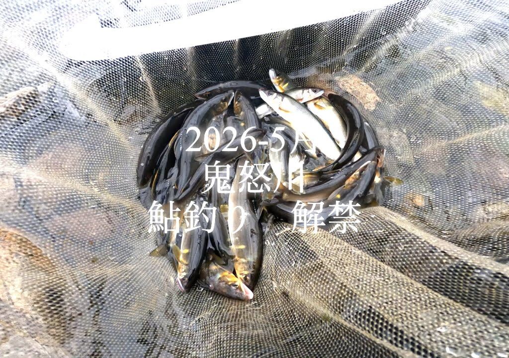 2026-5月　鬼怒川　鮎釣り解禁