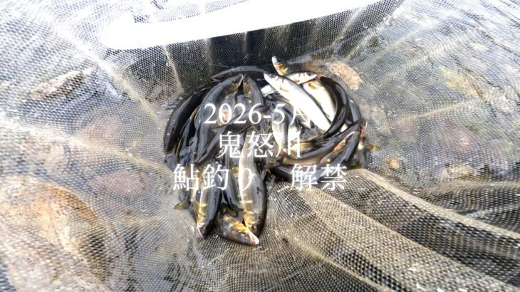 2026-5月　鬼怒川　鮎釣り解禁