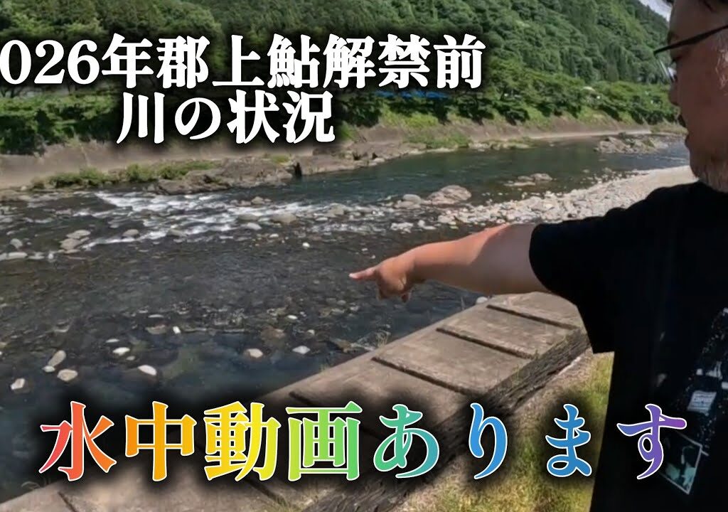 2026年郡上鮎解禁前の状況。水中動画あります。