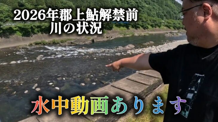 2026年郡上鮎解禁前の状況。水中動画あります。