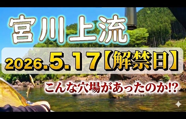 【穴場公開】解禁日でも混雑避けて安定釣果！宮川で一人勝ちのマル秘ポイント見つけました【2026年鮎釣り】