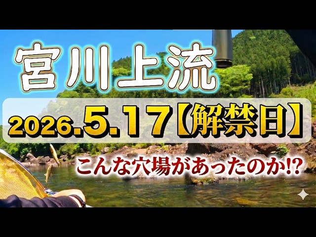 【穴場公開】解禁日でも混雑避けて安定釣果！宮川で一人勝ちのマル秘ポイント見つけました【2026年鮎釣り】