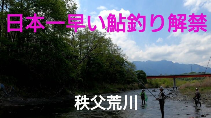 【鮎釣り】2026.4.26 秩父荒川 日本一早い鮎釣り解禁日の翌日 釣行