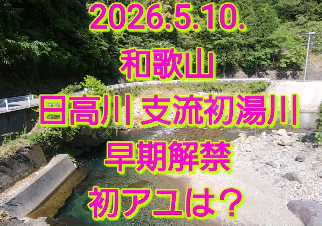 早期解禁再び@和歌山 日高川 支流初湯川(2026.5.10.)