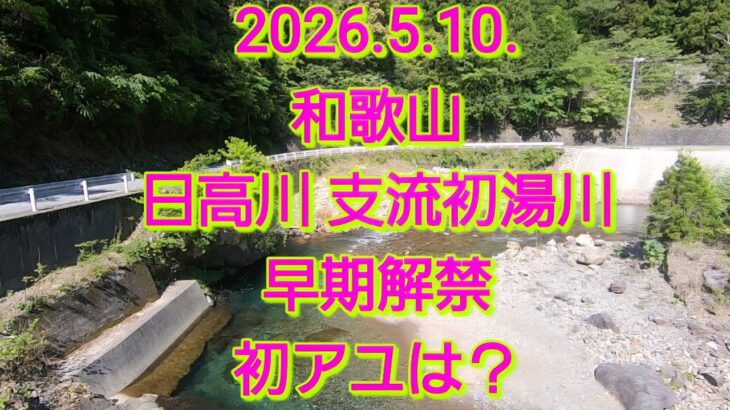 早期解禁再び@和歌山 日高川 支流初湯川(2026.5.10.)