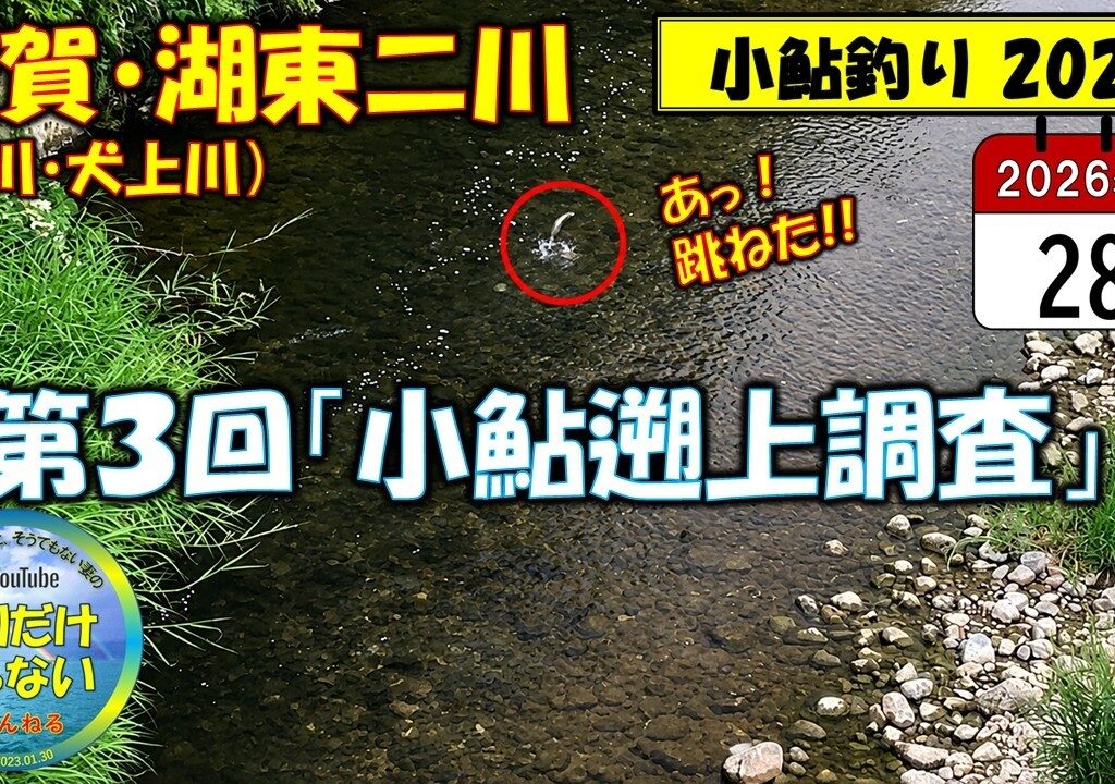 20260528・第３回小鮎遡上調査