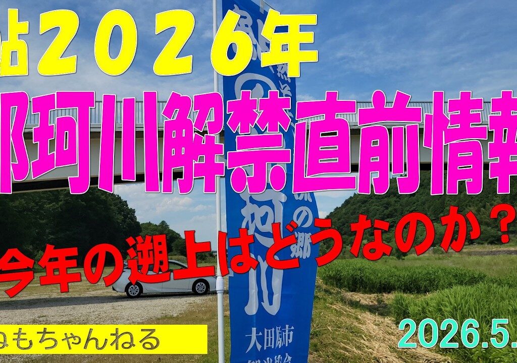 鮎2026（那珂川0531）