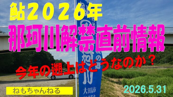 鮎2026（那珂川0531）
