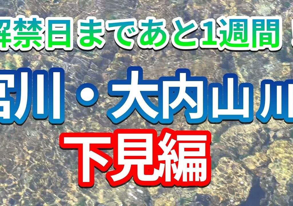 【2026年鮎釣り】解禁まであと1週間！宮川と大内山川の状況は？＃鮎釣り＃大内山川＃宮川＃三重県