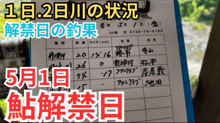 【鮎釣り2026】解禁初日と2日の日高川。気になる水位と天気そして釣果は？