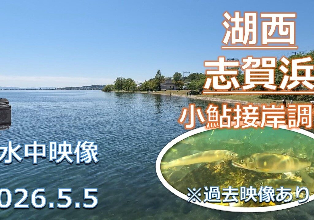 【小鮎釣り2026】湖西・志賀浜の小鮎はまだ早い？水中映像で探る接岸状況。2022年・2024年の同ポイント映像と比較検証