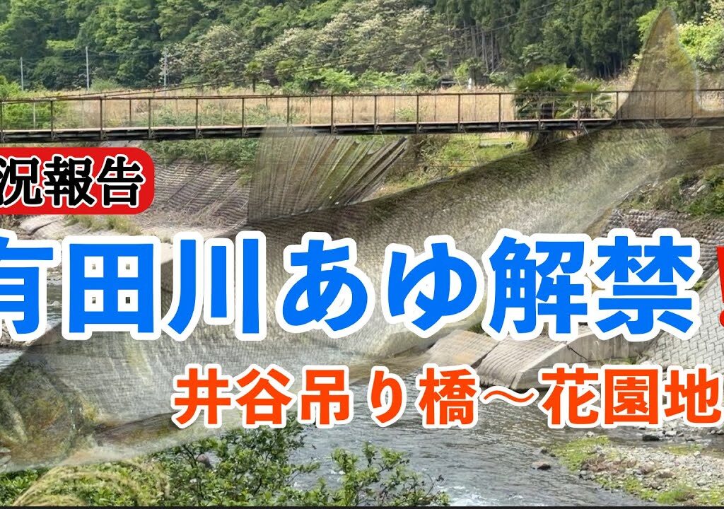 2026有田川あゆ解禁3日目の状況報告！