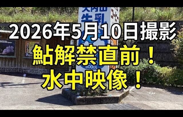 これを観れば下見が出来る！　2026年5月10日撮影！　解禁直前！　三重県大内山川　水中映像！【0007】