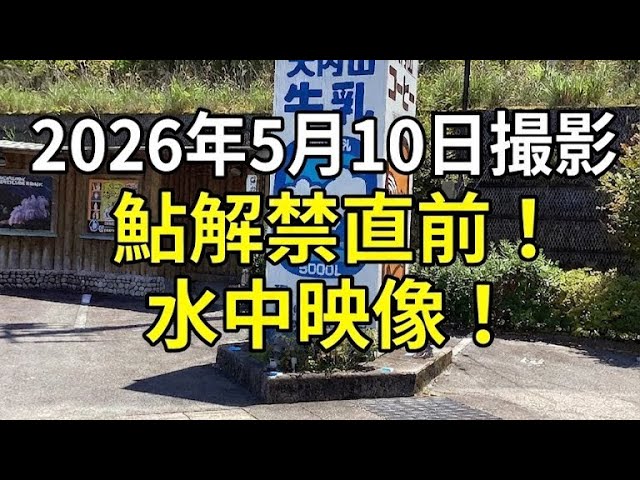 これを観れば下見が出来る！　2026年5月10日撮影！　解禁直前！　三重県大内山川　水中映像！【0007】