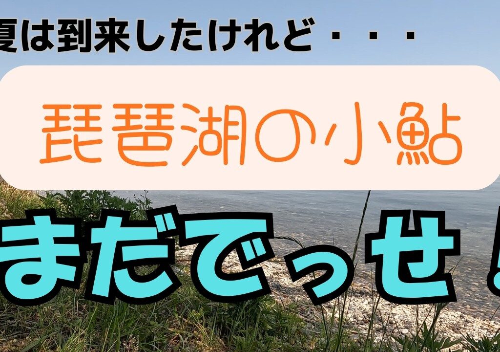 〈小鮎釣り・2026年5月19日〉琵琶湖西の志賀浜　まだ早いのか…。あまり釣れてません【須見千次郎の釣魚大全】