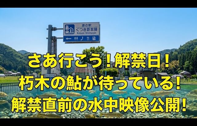 自宅で下見！　滋賀県安曇川朽木地区　第一弾　道の駅くつき新本陣裏　2026年5月19日撮影　鮎解禁前水中映像！　【0016】