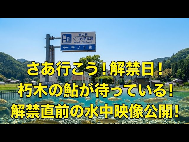 自宅で下見！　滋賀県安曇川朽木地区　第一弾　道の駅くつき新本陣裏　2026年5月19日撮影　鮎解禁前水中映像！　【0016】