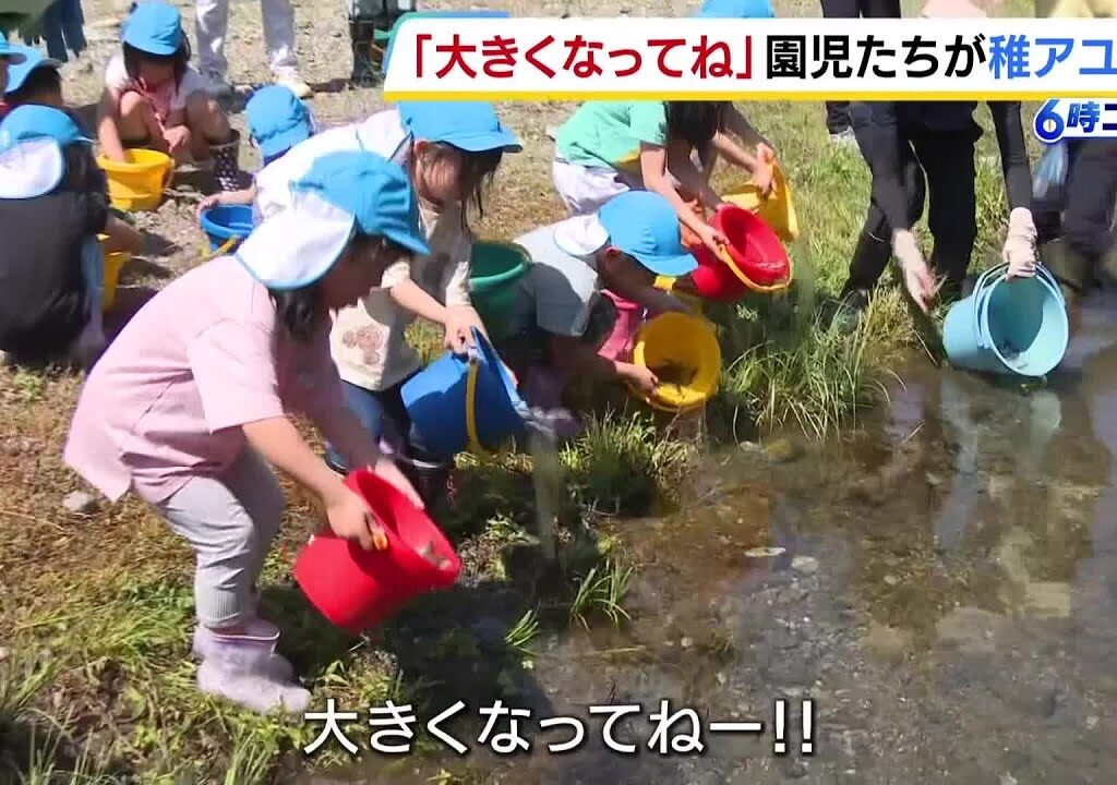 「大きくなってね！」アユ漁の解禁前に…園児たちが稚アユを放流　兵庫・養父市（2026年5月7日）