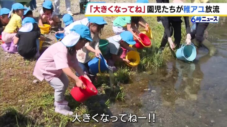「大きくなってね！」アユ漁の解禁前に…園児たちが稚アユを放流　兵庫・養父市（2026年5月7日）