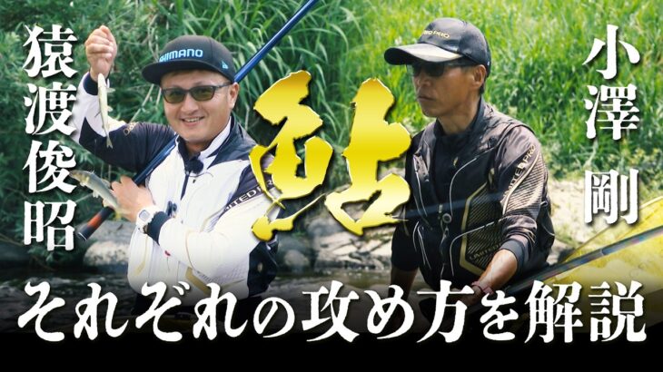 小澤剛＆猿渡俊昭が長良川でアユの友釣りを楽しむ 2/2 『鮎2022』＜フルver＞【釣りビジョン】