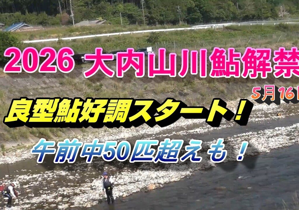 26026 05 16三重県大内山川漁協鮎解禁  好調スタート！午前中50匹超えも！