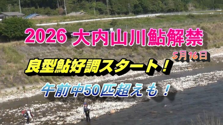 26026 05 16三重県大内山川漁協鮎解禁  好調スタート！午前中50匹超えも！