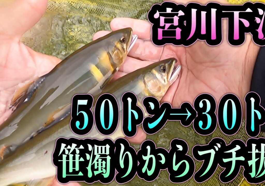 宮川下流５０トンから30トン笹濁り