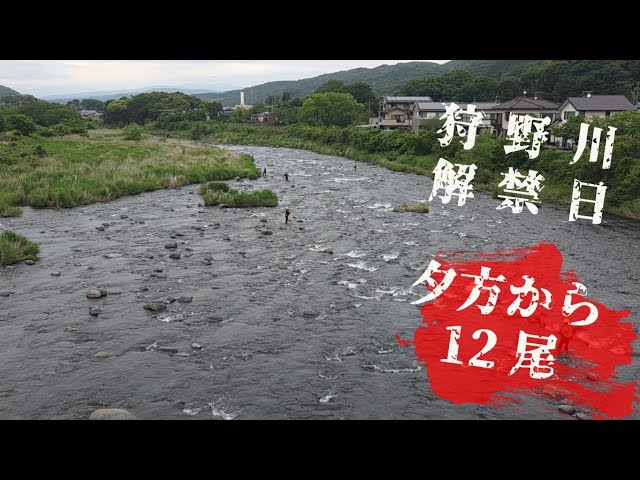 狩野川解禁日　夕方3時間12尾