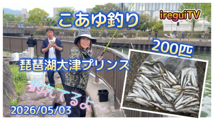 小鮎釣り～3時間で200匹…久々のこあゆ釣りにいきました。知内川の調査と大津プリンスのにおの浜からの大津湖岸なぎさ公園でこあゆ釣り…つれましたよ～【入れ食いTV】BM艇