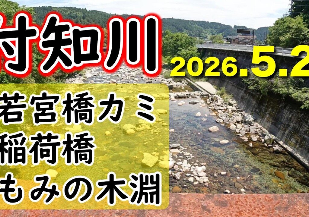 【解禁4日後で釣果44匹】釣り荒れの付知川で釣果を出すには？動くべし【2026年アユ釣り】