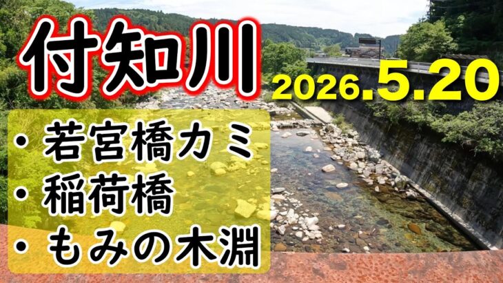 【解禁4日後で釣果44匹】釣り荒れの付知川で釣果を出すには？動くべし【2026年アユ釣り】