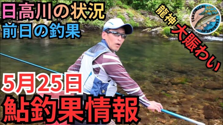 【釣果50匹⁉】釣れる人が狙うポイントは？日高川の最新鮎釣果情報 5/25