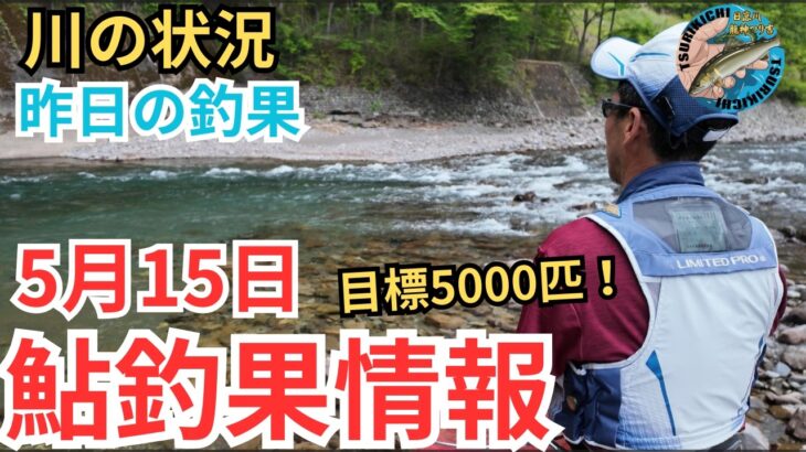 【鮎釣果情報】今シーズン目標5000匹！気になる水位と天気そして釣果は？
