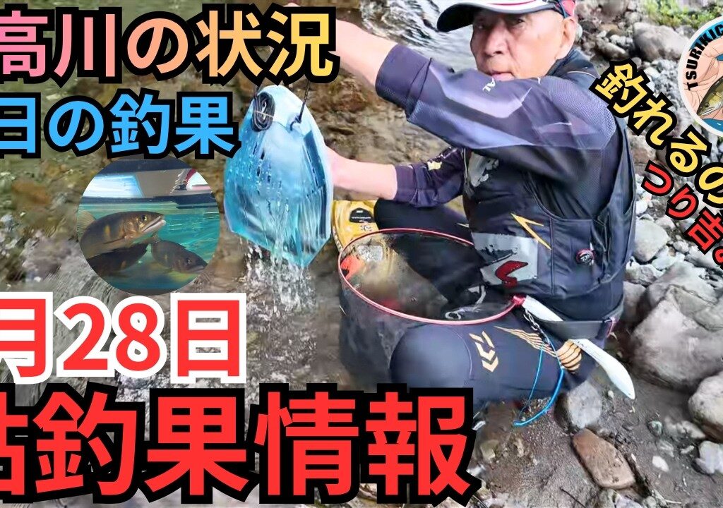 【鮎釣り】話題の引船をプレゼントしてみた！日高川の最新鮎釣果情報 5/28