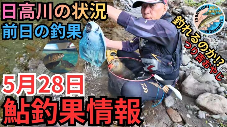 【鮎釣り】話題の引船をプレゼントしてみた！日高川の最新鮎釣果情報 5/28