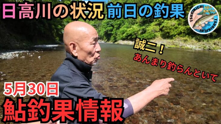 【水中映像あり】鮎は何処に居るのか⁉日高川の最新鮎釣果情報 5/30