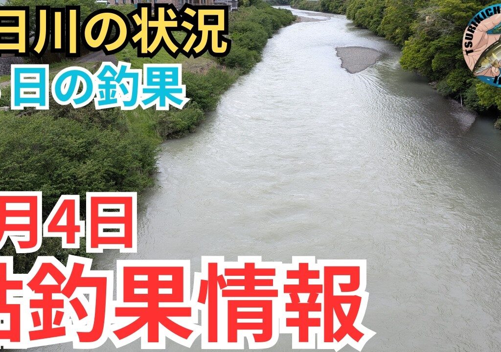 【鮎釣果情報】5月4日の日高川。気になる水位と天気そして釣果は？