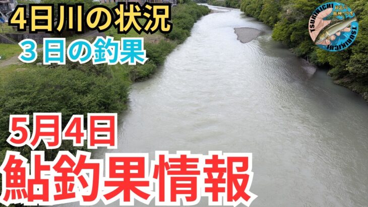 【鮎釣果情報】5月4日の日高川。気になる水位と天気そして釣果は？