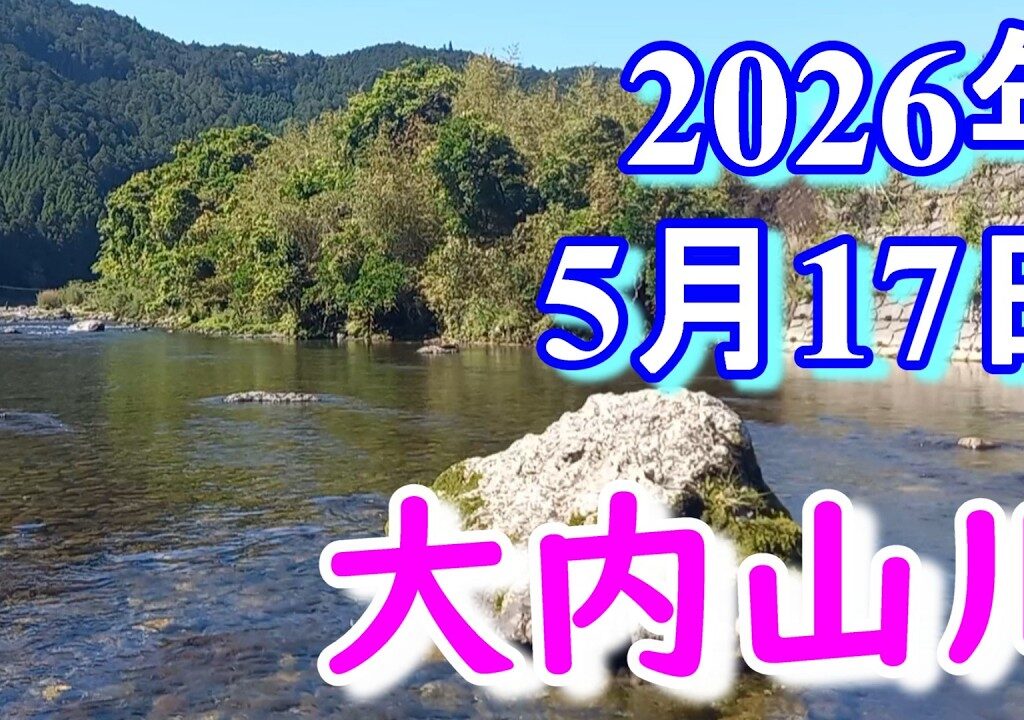 鮎釣り 背がかりDNA鮎を釣る 10㎝渇水 ひこ瀬 名もなき橋上 伊良野橋下 大内山川 2026年