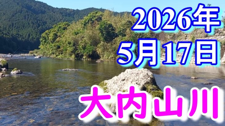 鮎釣り 背がかりDNA鮎を釣る 10㎝渇水 ひこ瀬 名もなき橋上 伊良野橋下 大内山川 2026年