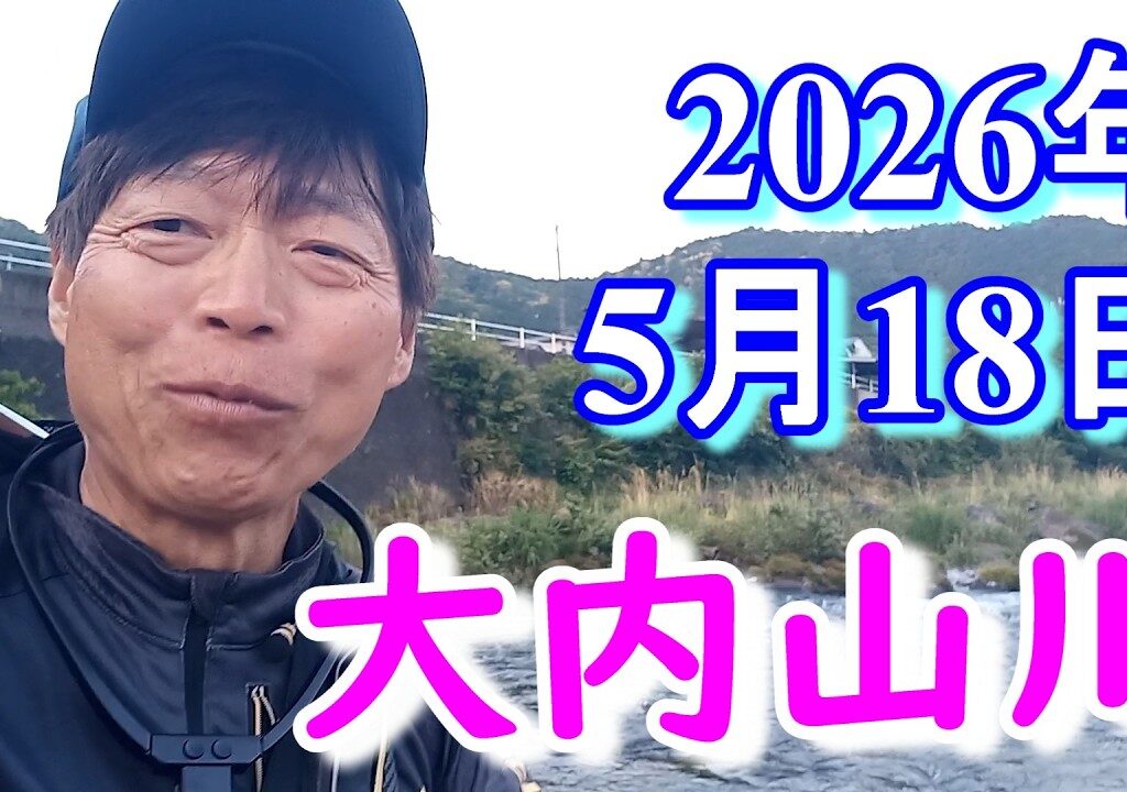 鮎釣り 背がかりDNA鮎を釣る 20㎝渇水垢ぐされぎみ おとべ 紀勢大橋上 岩船橋下 田垣外 大内山川 2026年