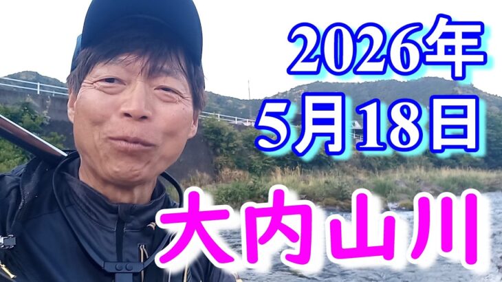 鮎釣り 背がかりDNA鮎を釣る 20㎝渇水垢ぐされぎみ おとべ 紀勢大橋上 岩船橋下 田垣外 大内山川 2026年