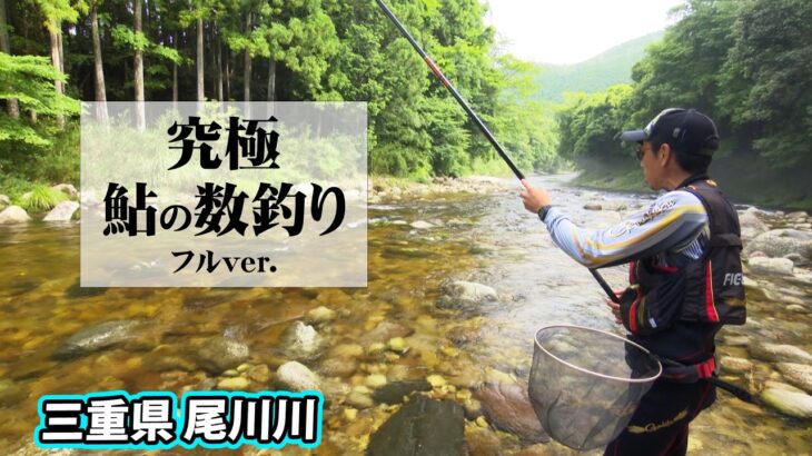 名手が 三重県尾川川で究極の数釣りに挑む 『G WORLD 21』＜フルver＞【釣りビジョン】