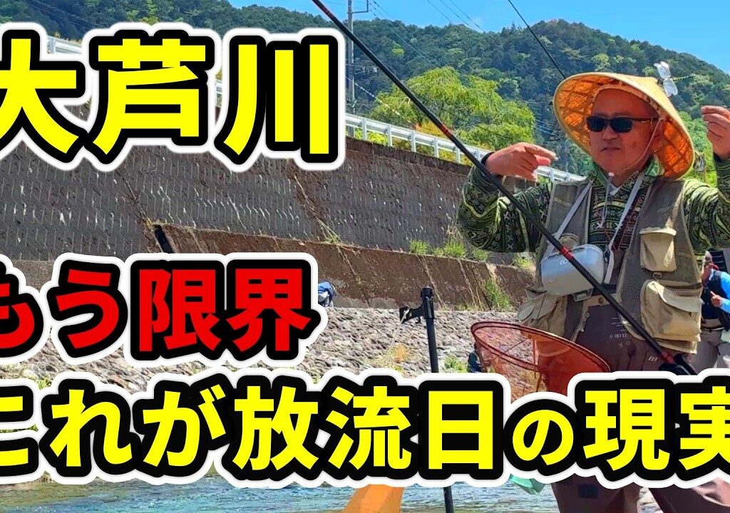 【渓流釣り 大芦川】マジ？残念な現実と残酷なデータ見えてくるヤバい釣り事情 緊急取材・・River Healing Channel （リバヒ）