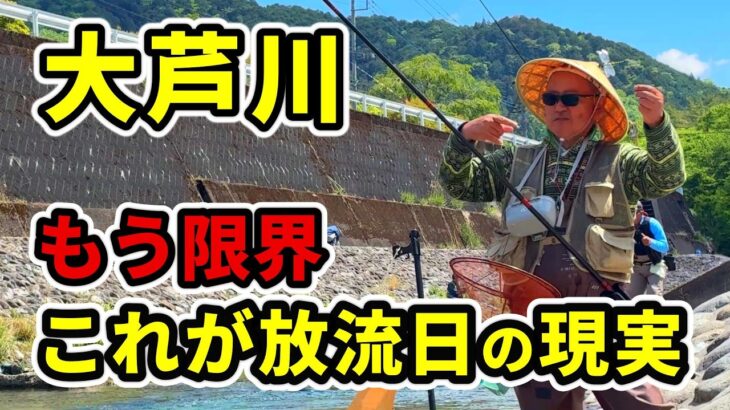 【渓流釣り 大芦川】マジ？残念な現実と残酷なデータ見えてくるヤバい釣り事情 緊急取材・・River Healing Channel （リバヒ）