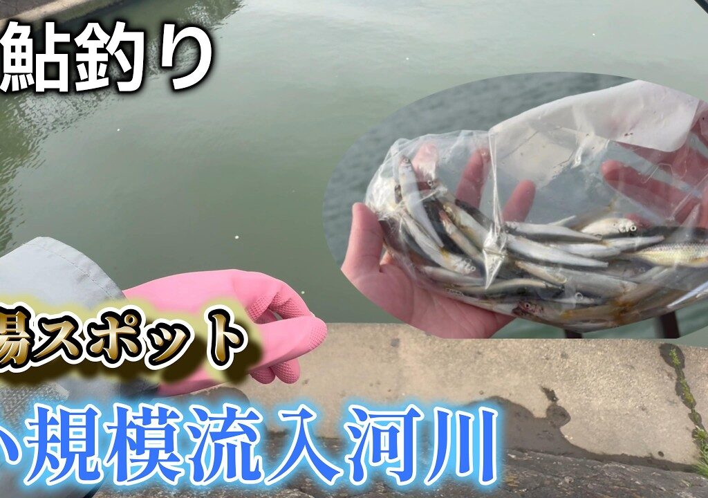 【小鮎釣り】小鮎釣りの穴場スポットを紹介！in琵琶湖南湖　におの浜流入河川