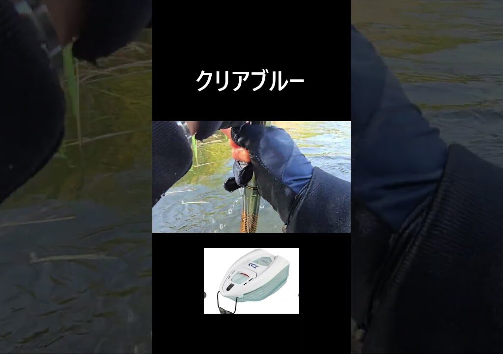 さようなら　#shorts  #鮎釣り   #渓流釣り